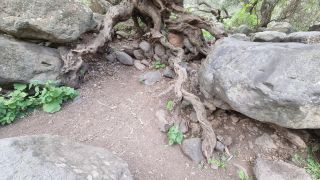2024-01-GranCan-Barranco_de_los_Cernicalos-061.jpg